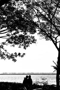 Bare trees against sky
