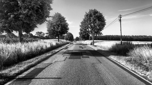 Road amidst trees against sky