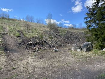 View of sheep on field
