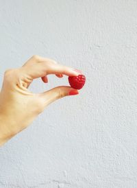 Cropped hand of woman holding raspberry against white wall