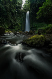 Water flowing through rocks in forest