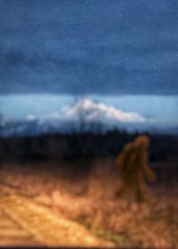 Scenic view of field against sky at dusk