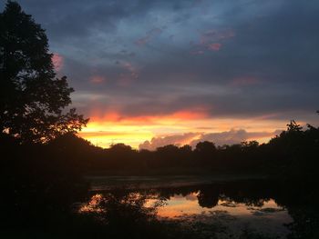Silhouette of trees at sunset