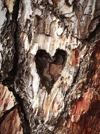 Low angle view of tree trunk