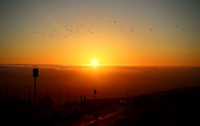 Silhouette birds against sky during sunset