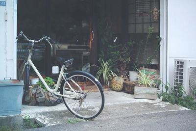 Parked plants in front of building