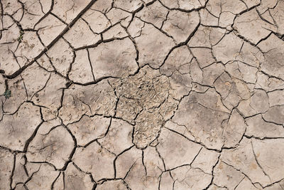 Close-up of cracked land