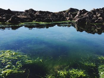 Scenic view of lake