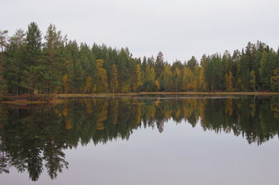 Reflection of trees in lake against sky