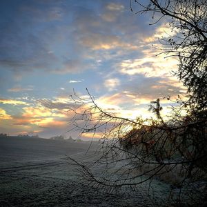 Silhouette bare tree against sky during sunset