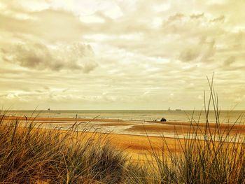 Scenic view of beach against sky