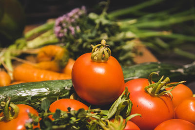 Close-up of fresh tomatoes