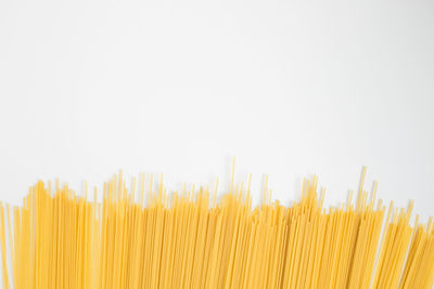 Close-up of corn against white background