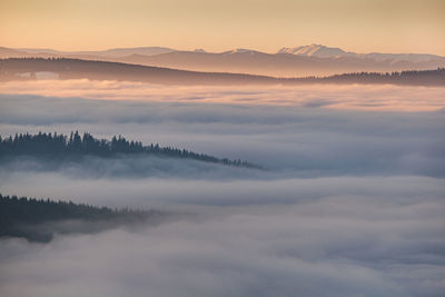 Winter landscape from rodnei mountain. a cold foggy morning with heavy snow.