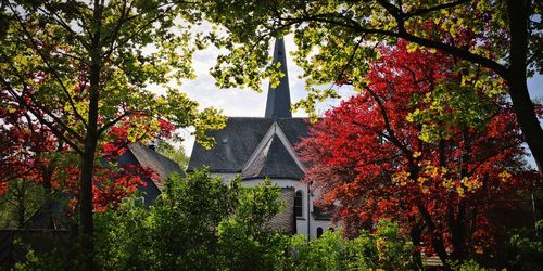 Trees by building against sky during autumn