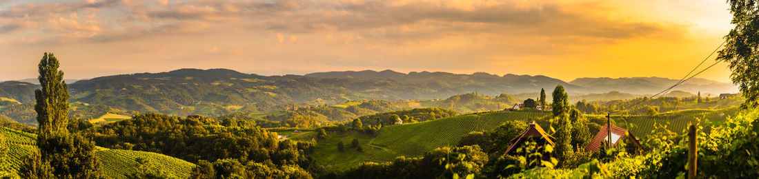 Scenic view of field against sky during sunset