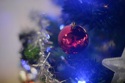 Close-up of illuminated christmas tree