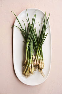 Fresh spring onions vegetables raw on ceramic dish and pink background