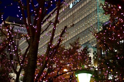 Low angle view of illuminated tree at night