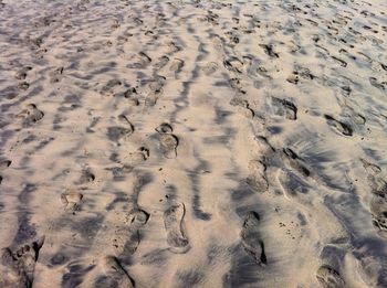 High angle view of footprints on sand at beach