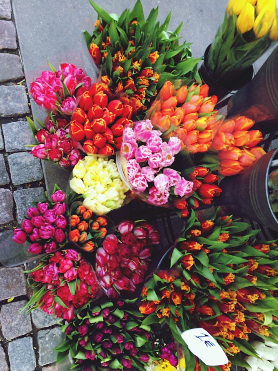 HIGH ANGLE VIEW OF MULTI COLORED TULIPS BLOOMING IN MARKET