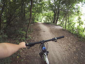 Man riding bicycle on road amidst trees in forest