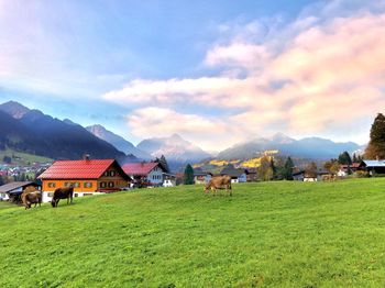 Alps landscape