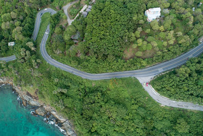 Aerial view of roads amidst trees