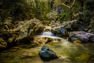 Scenic view of waterfall in forest