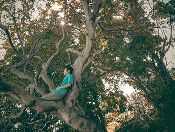 Side view of woman sitting on tree trunk