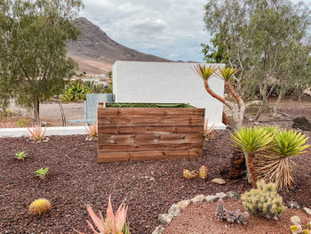 Trees growing on field against sky