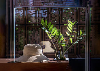 Close-up of hat by potted plant