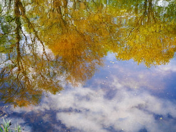 Reflection of tree in lake against sky
