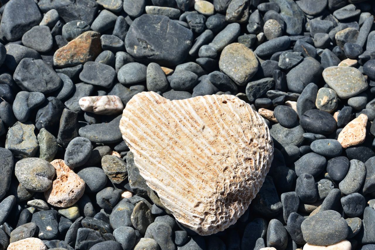 rock, stone, pebble, nature, no people, textured, large group of objects, full frame, backgrounds, high angle view, soil, day, land, wood, abundance, gravel, shape, outdoors, heart shape, beach, rubble, pattern, close-up, boulder, directly above