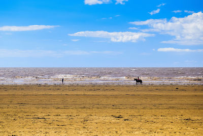 People on beach against sky