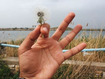 Close-up of hand holding plant