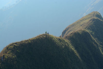 Panoramic shot of people on land against sky