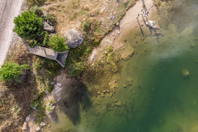 High angle view of stream flowing in forest