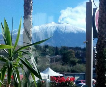 Scenic view of tree mountains against sky