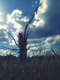 Scenic view of field against cloudy sky