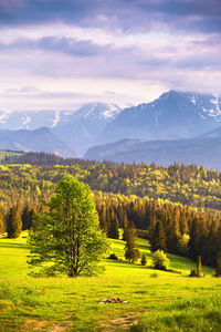 Scenic view of field and mountains against sky