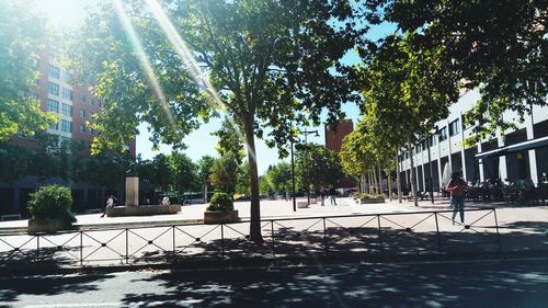 Trees and swimming pool against buildings in city