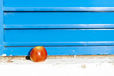 Close-up of apple on bench against wall
