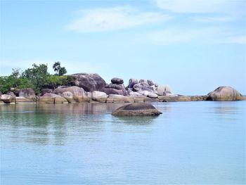 The uniqueness of the expanse of rock on the coast of tanjung tinggi, belitung island