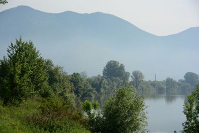 Scenic view of lake in forest against sky