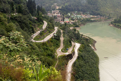 High angle view of river amidst trees