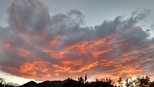 Silhouette trees against sky during sunset