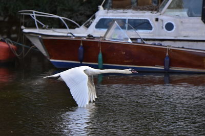 Boat in lake