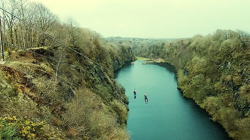 Reflection of trees in lake