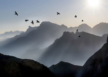 Birds flying over mountains at dolomites, italy